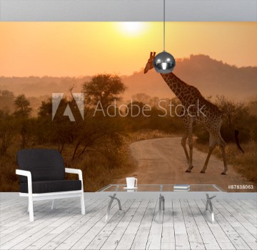Picture of Giraffe At Sunrise Kruger National Park